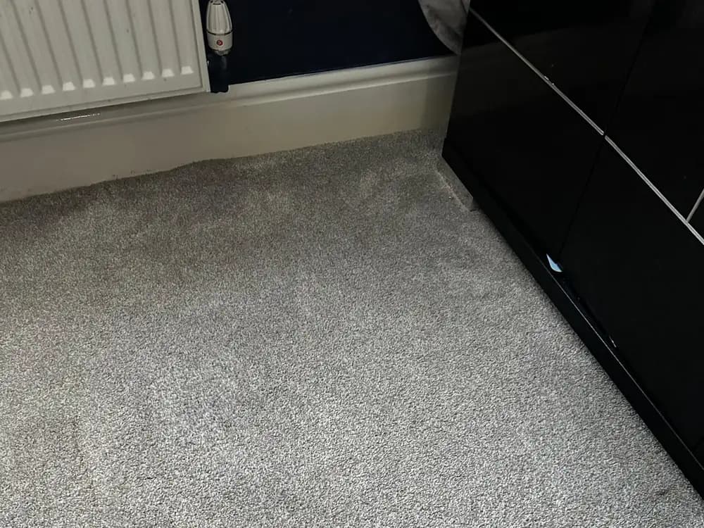 The same grey carpet beside the same radiator after cleaning, with the dark ring gone and an even colour across the pile