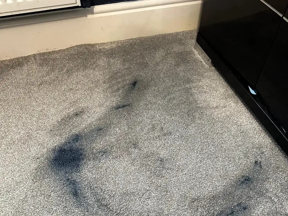 A grey bedroom carpet with a large dark dye ring soaked into the pile beside a radiator, photographed before cleaning